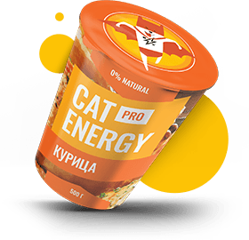 Cat Energy Pro